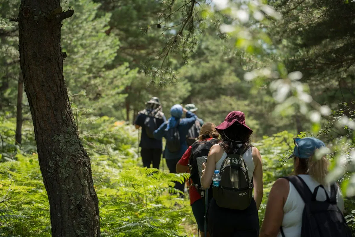 A group of people hiking through a green green forest, enjoying a summer adventure.