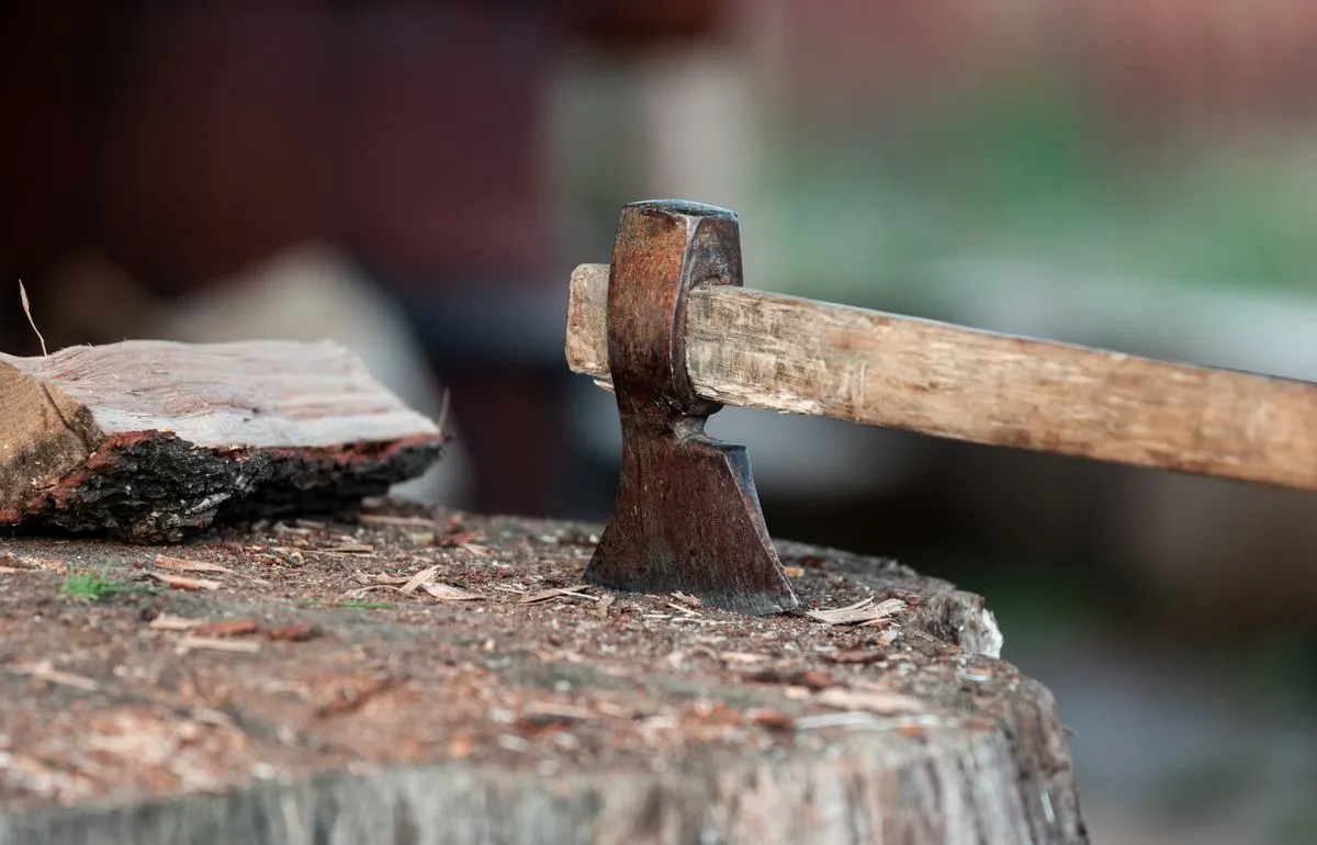 An axe stuck in a tree stump with firewood beside it