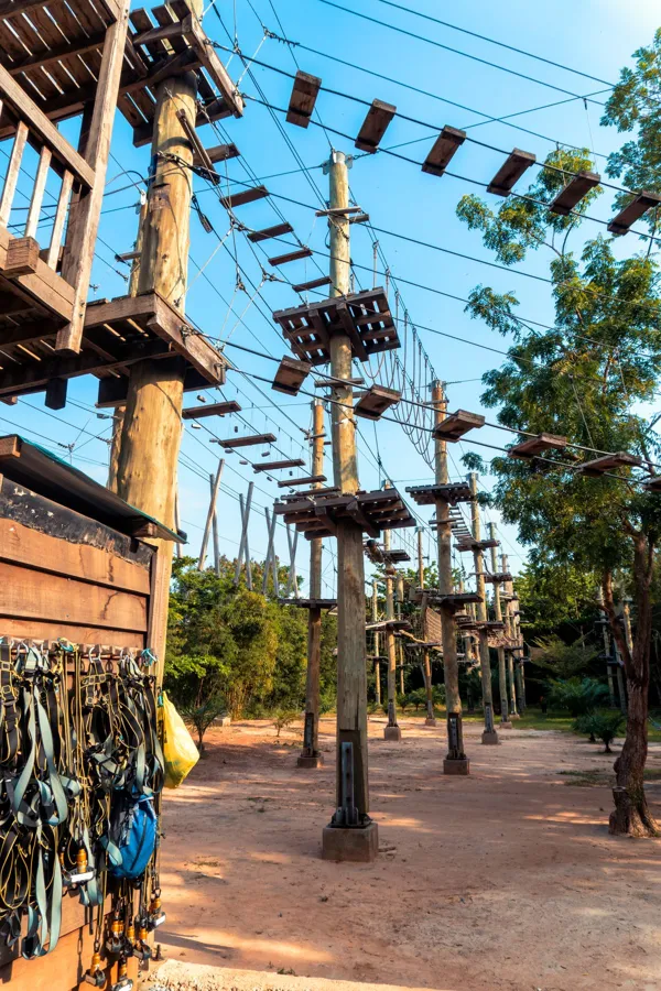 A high ropes course among the trees with platforms and rope bridges