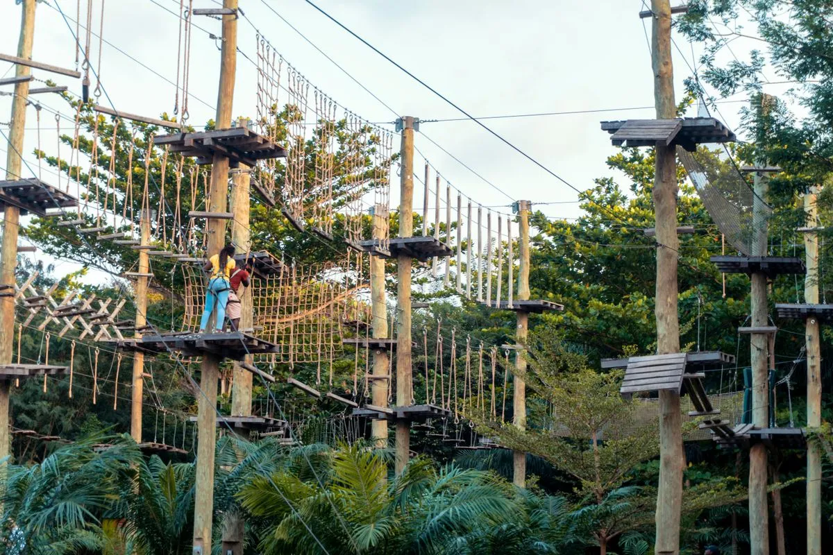 A tall ropes course with rope bridges and platforms among palm trees