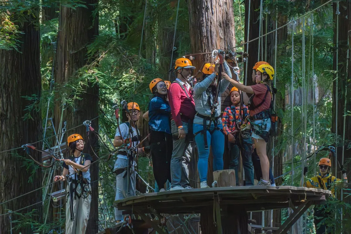 A group in helmets and harnesses on a platform in the trees