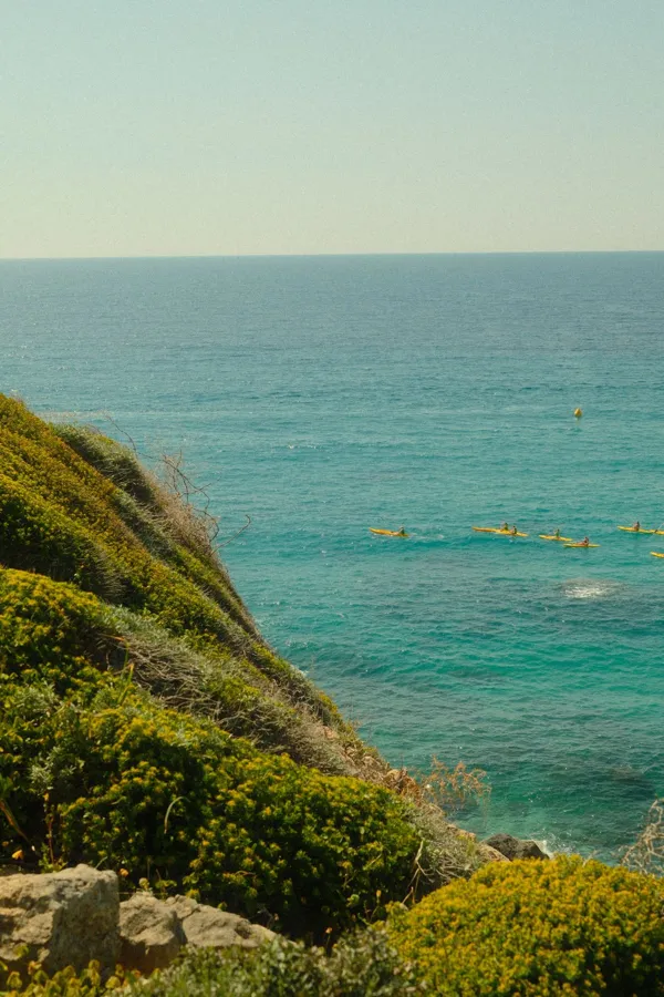 Kayakers explore clear blue waters near green, scenic coastal cliffs under a bright daytime sky.