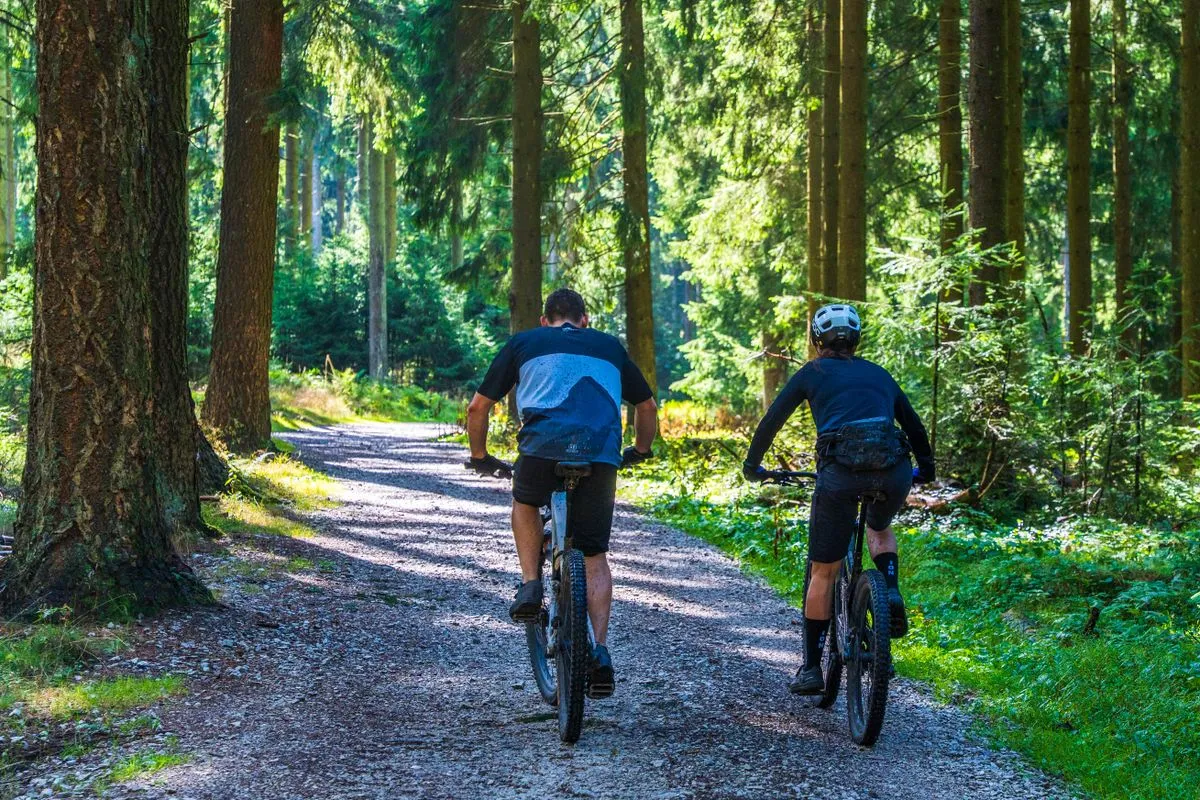 Two cyclists riding along a gravel forest trail in sunshine