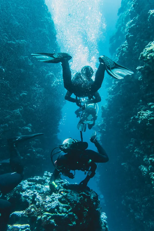 Scuba divers exploring a coral reef canyon, with bubbles rising.