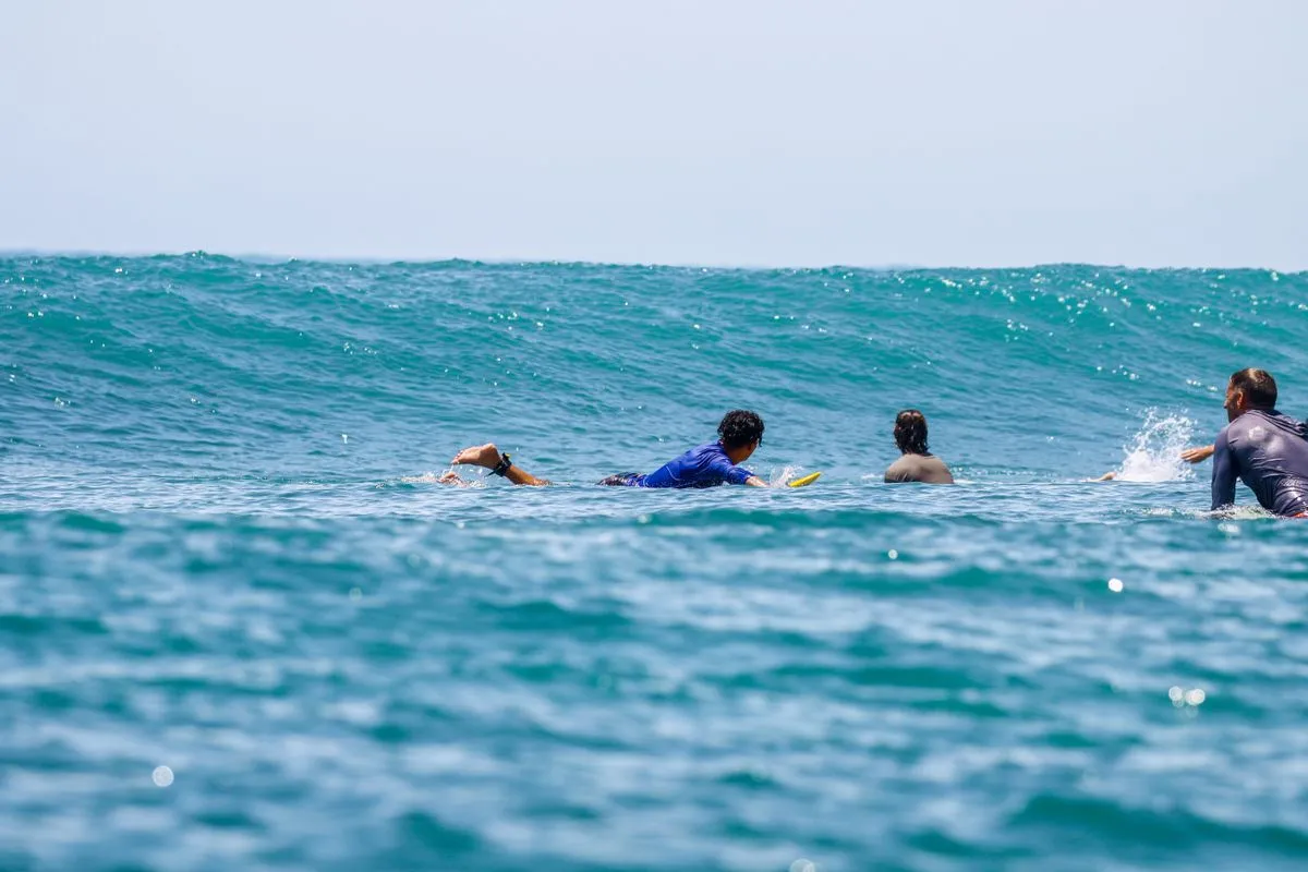 Four surfers paddling on surfboards, waiting for a wave