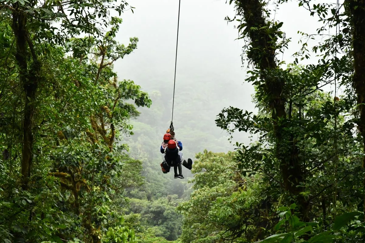 Experience an exhilarating zip line ride through the green Costa Rican rainforest.