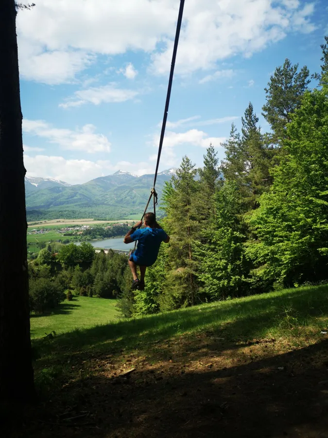 Back view of a man zip lining over a green forest with scenic mountain and lake views.