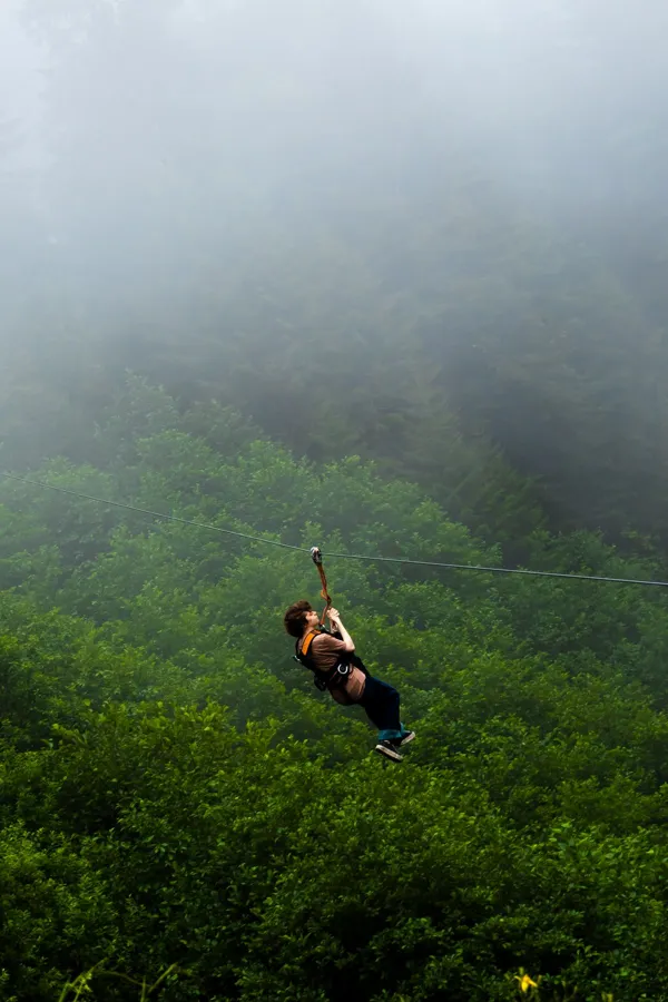 Experience the thrill of zip lining through greenery in the misty forests of Rize, Turkey.